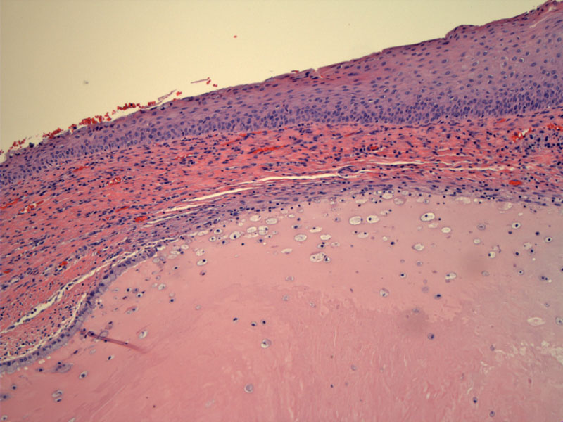Path Image